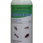 Thuốc diệt côn trùng GINGER 10 SC